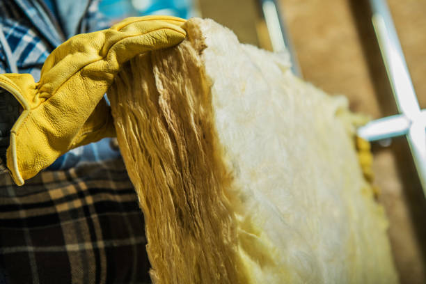 Best Residential Insulation Services  in Auburn, KY
